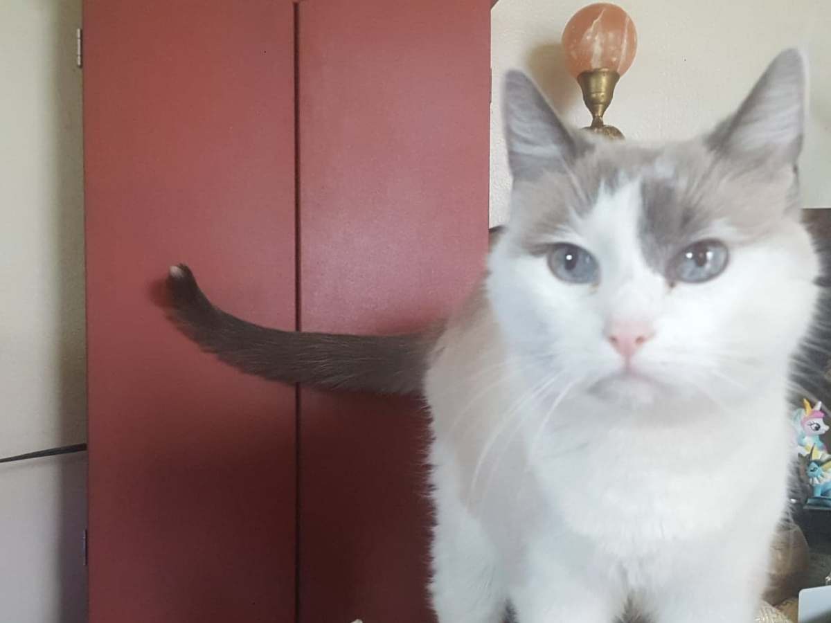 My Spiritual Birthday