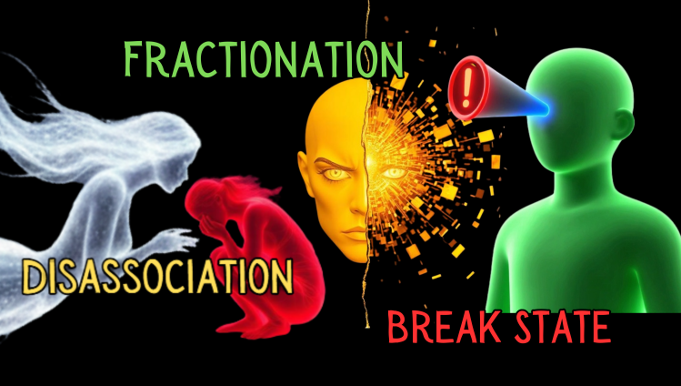 QHHT Online? Risks in&nbsp;Sessions